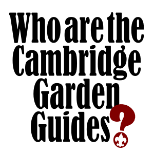 Scoutmaster Podcast 210